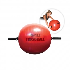 GINTELL Torsoball Total Body Training System