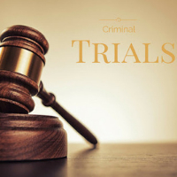 Criminal Trial Legal Consultation 30 minutes (online or physical meeting)